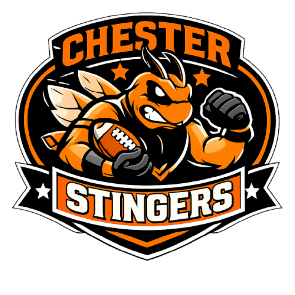 Chester Stingers