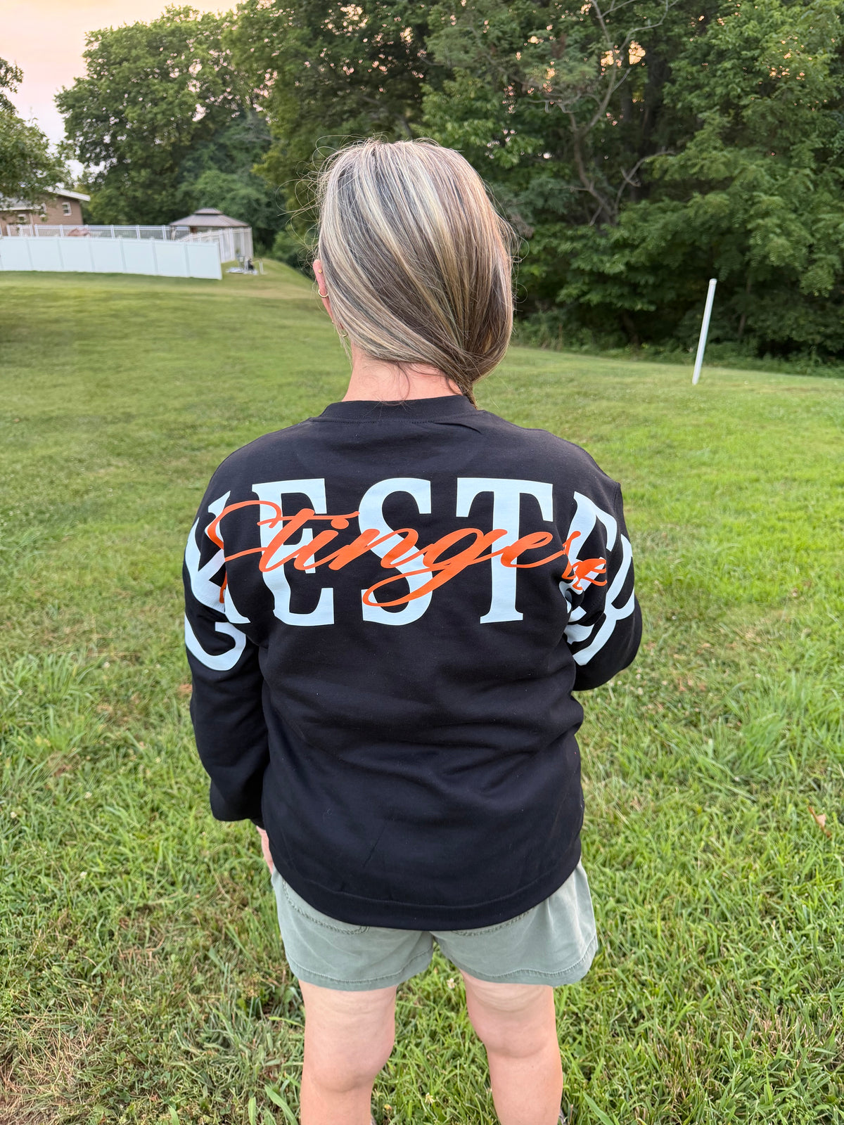 Stingers - Big Back Sweatshirt
