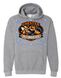 Stingers Sweatshirt