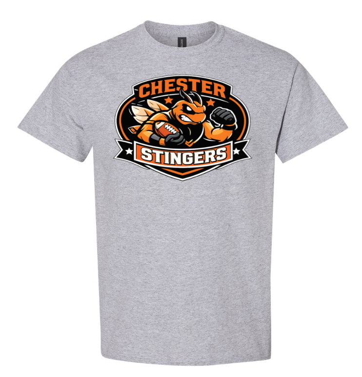 Stingers Pride Shirt